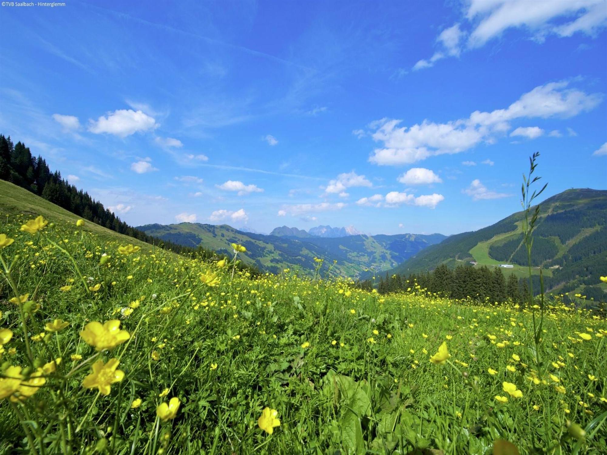 Apartment In Saalbach Hinterglemm Near Ski Area Esterno foto